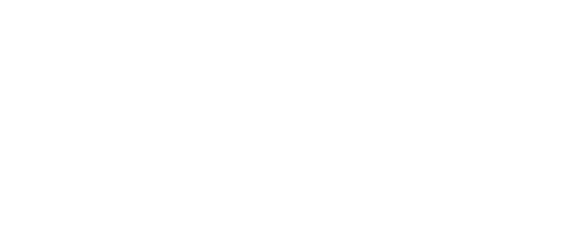 LEVYN